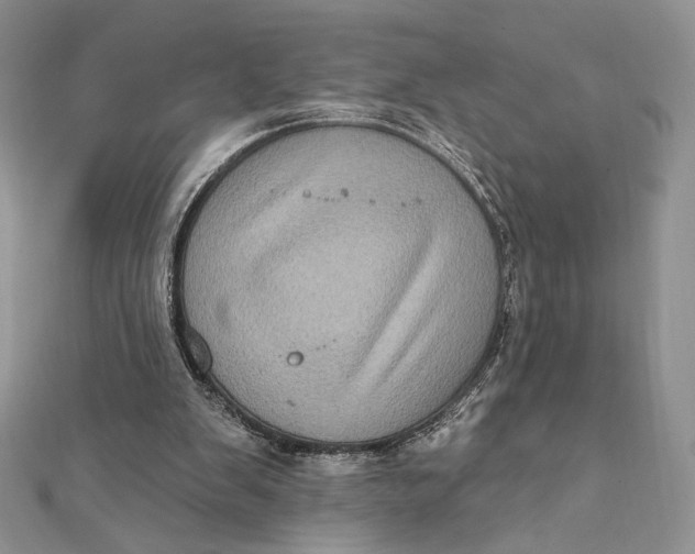 X0000112350103200909031858