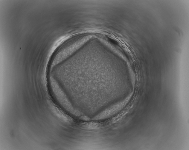 X0000112350104200909031858