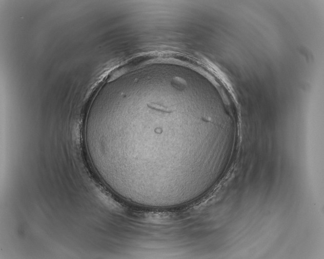 X0000112350105200909031858