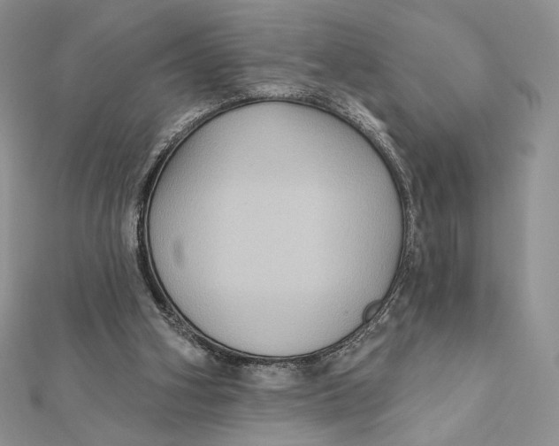 X0000112350106200909031858