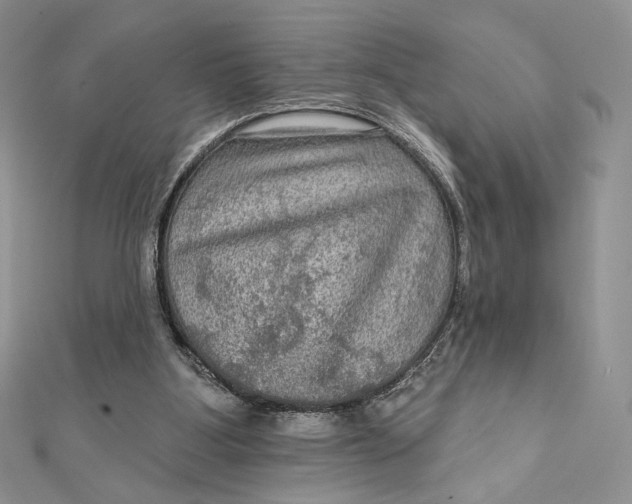 X0000112350107200909031858