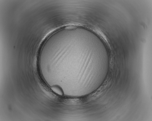 X0000112350108200909031858