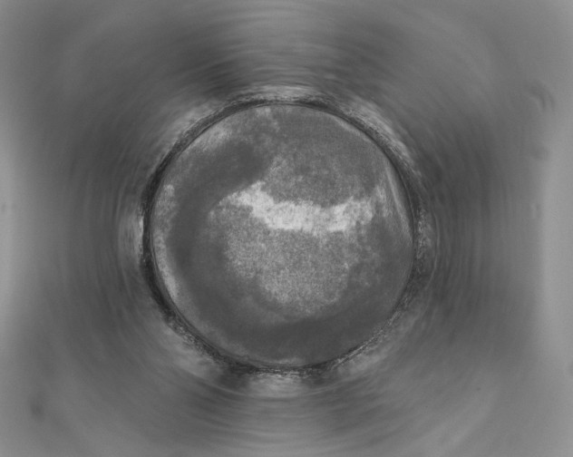 X0000112350110200909031858