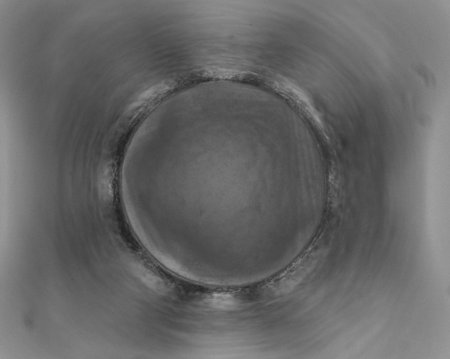 X0000112350114200909031857