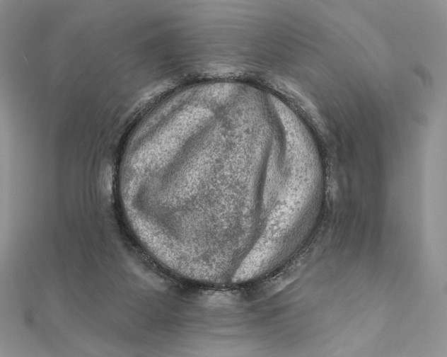 X0000112350115200909031857