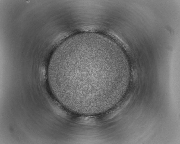 X0000112350117200909031857