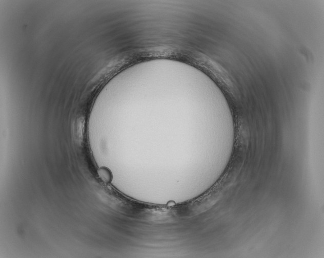 X0000112350118200909031857