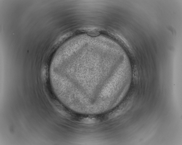 X0000112350119200909031857