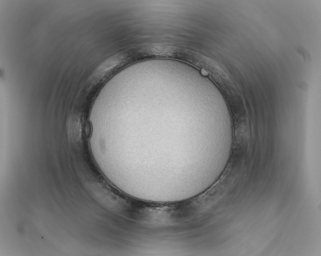 X0000112350120200909031857