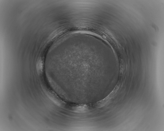 X0000112350124200909031857