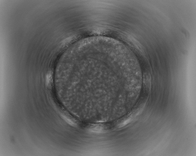 X0000112350127200909031857