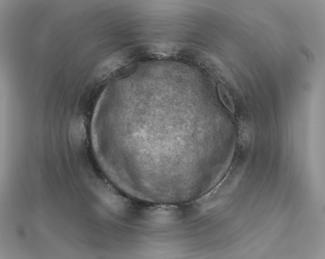 X0000112350128200909031857