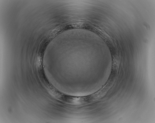 X0000112350130200909031857