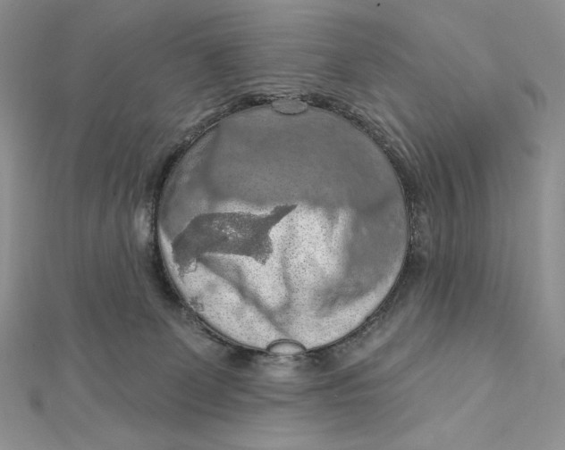 X0000112350131200909031857