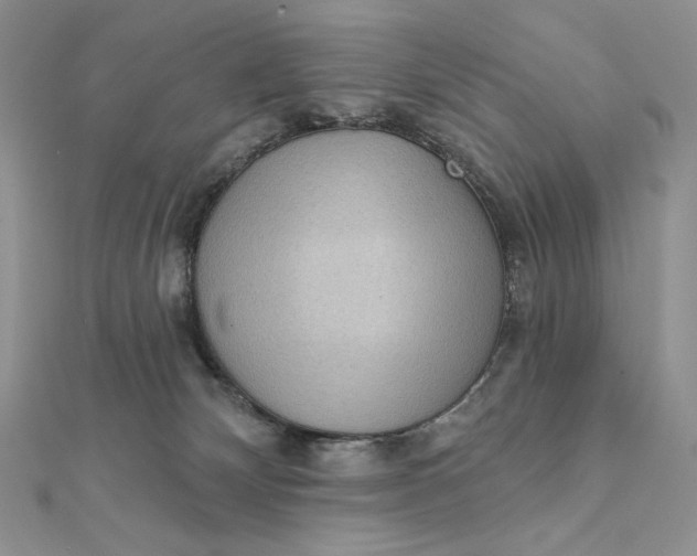 X0000112350132200909031857