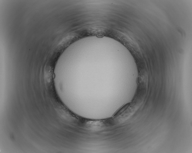 X0000112350133200909031857