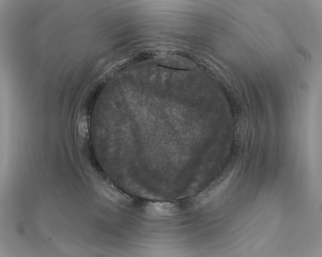 X0000112350137200909031857