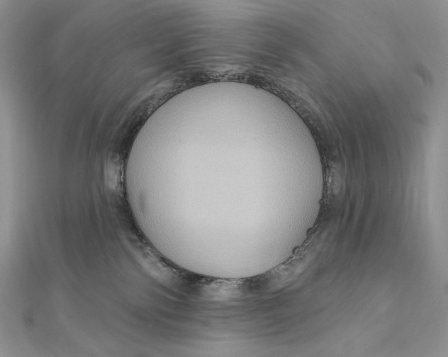 X0000112350138200909031857