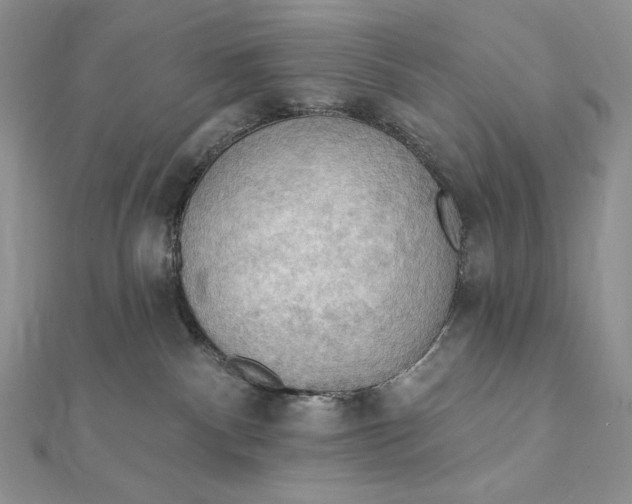 X0000112350140200909031857