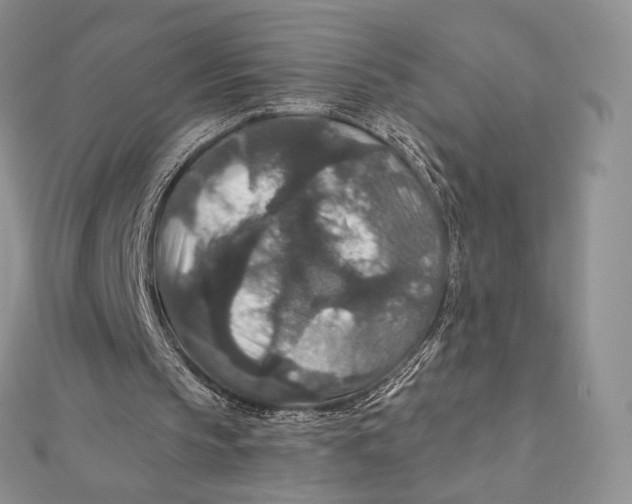 X0000112350145200909031856