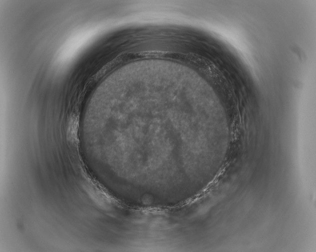 X0000112350146200909031856