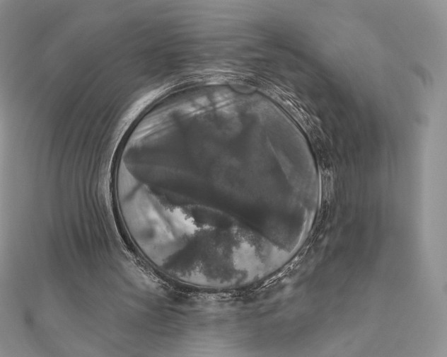 X0000112350147200909031856