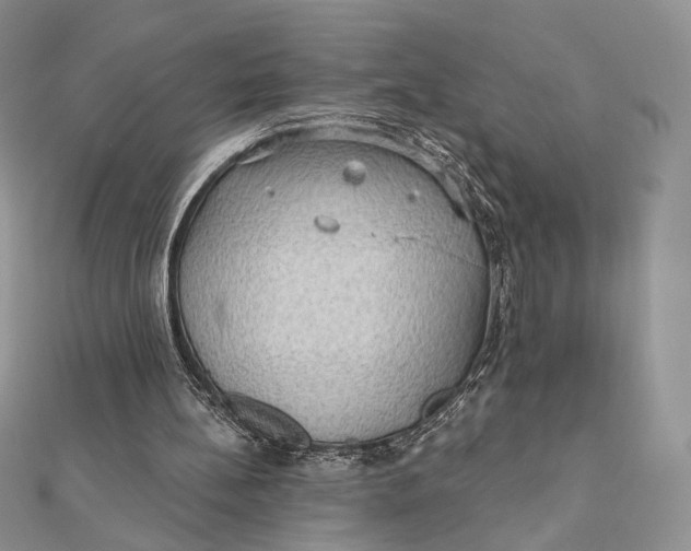 X0000112350148200909031856