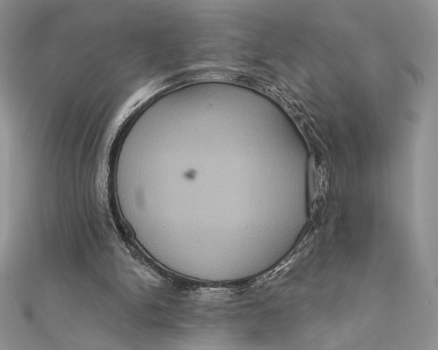 X0000112350150200909031856