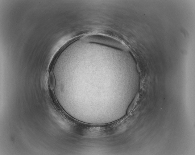 X0000112350152200909031856