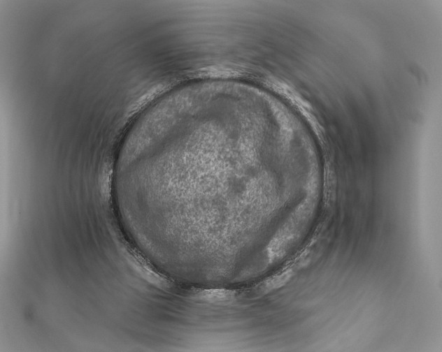 X0000112350153200909031856