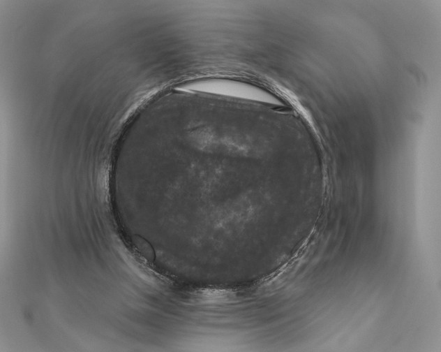 X0000112350154200909031856