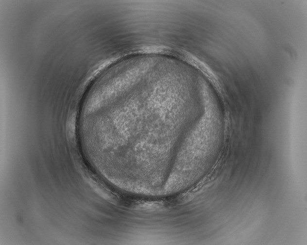 X0000112350155200909031856