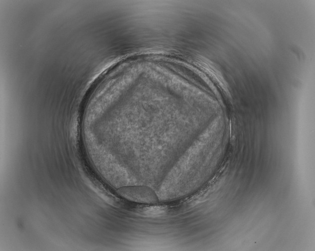 X0000112350156200909031856