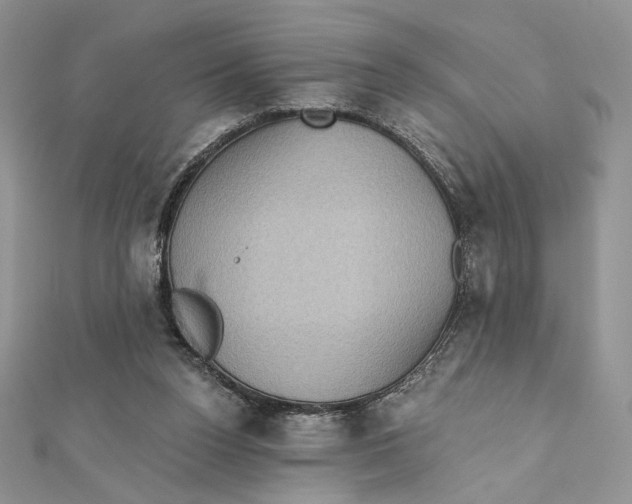 X0000112350160200909031856