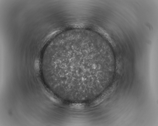 X0000112350161200909031856