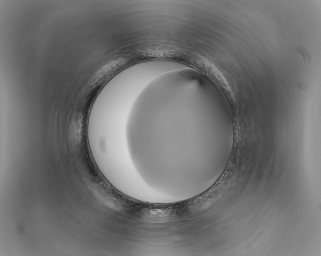 X0000112350163200909031856