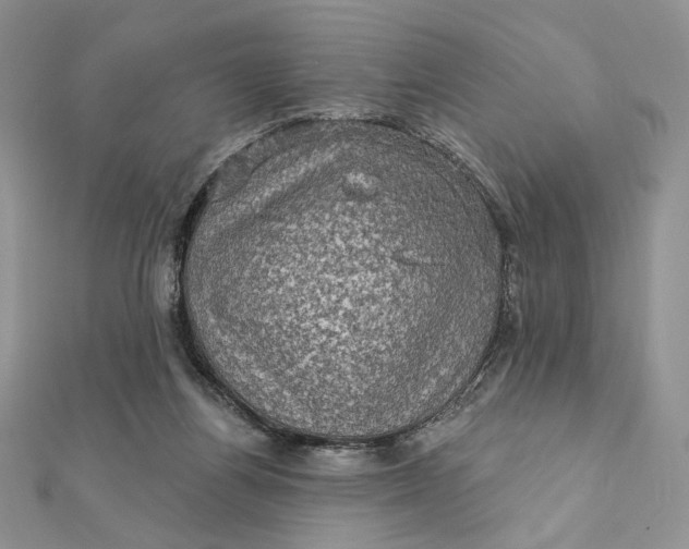 X0000112350164200909031856