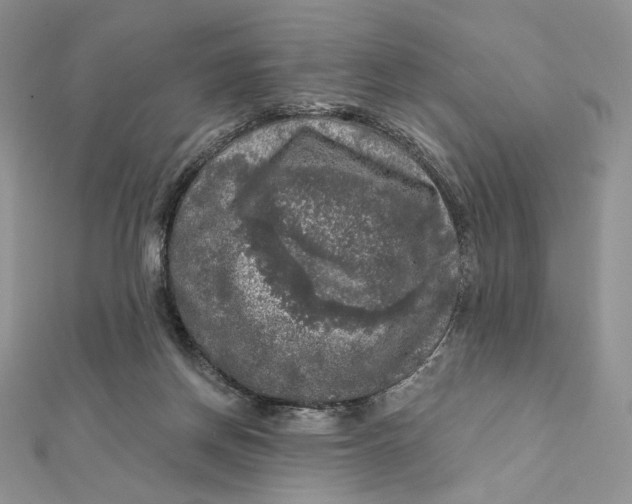 X0000112350166200909031856