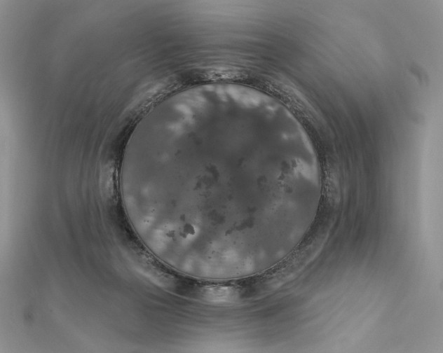 X0000112350169200909031857