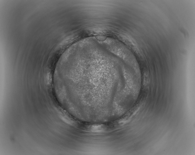 X0000112350173200909031857