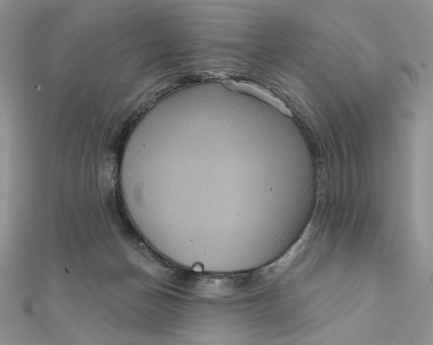 X0000112350174200909031857