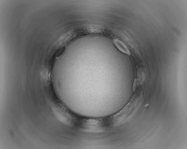 X0000112350176200909031857