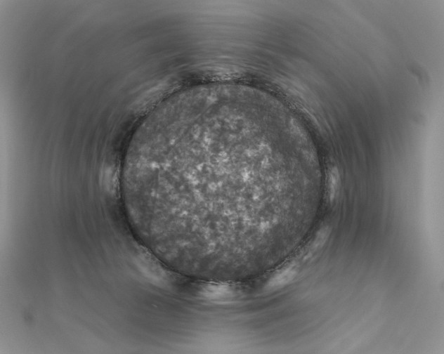 X0000112350177200909031857