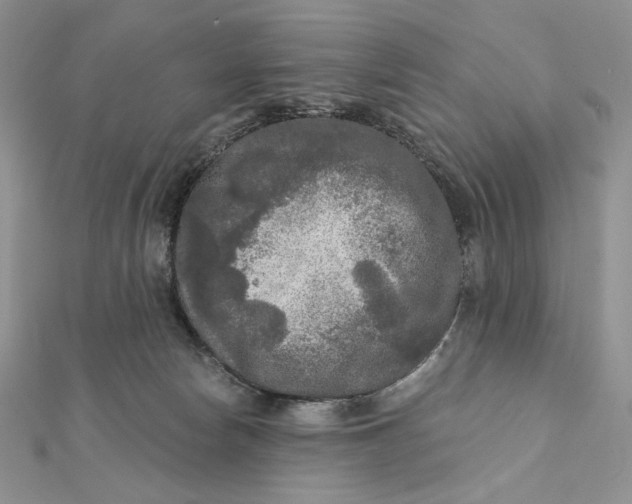 X0000112350178200909031857