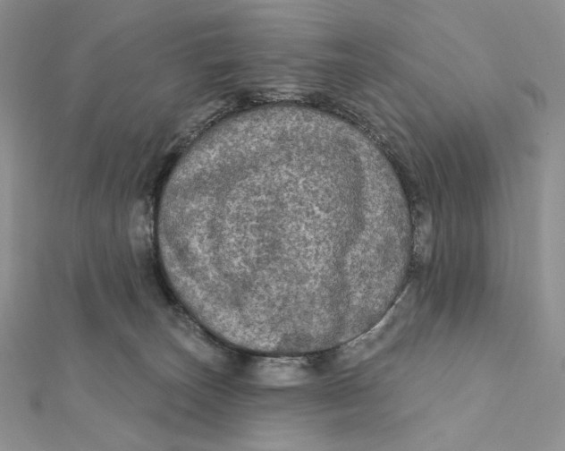 X0000112350179200909031857