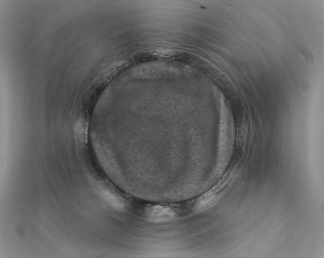 X0000112350180200909031857