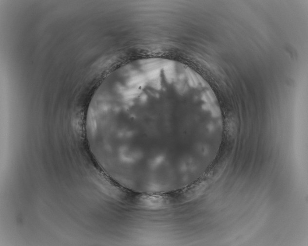 X0000112350181200909031857