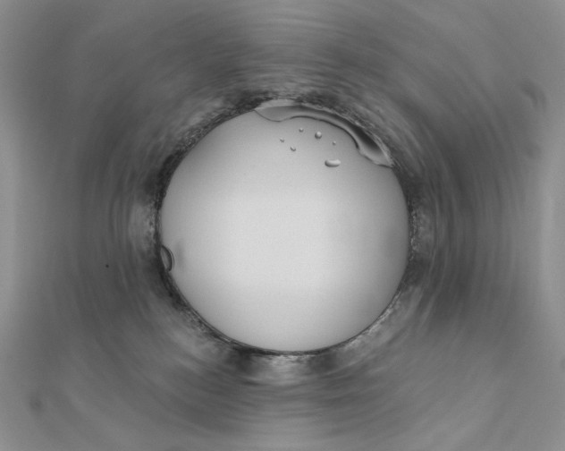 X0000112350184200909031857