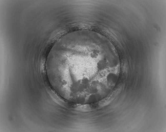 X0000112350185200909031857