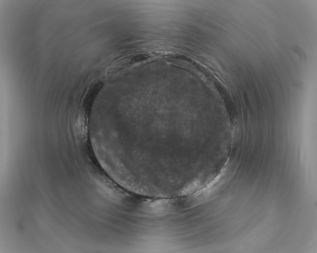 X0000112350186200909031857